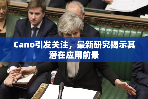 Cano引发关注，最新研究揭示其潜在应用前景