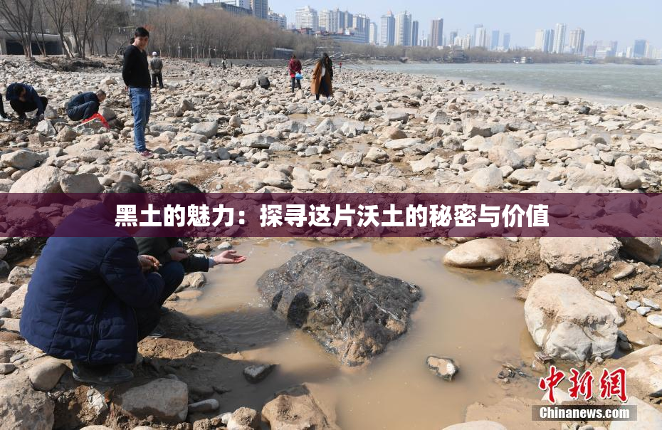 黑土的魅力：探寻这片沃土的秘密与价值