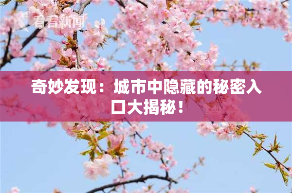 奇妙发现：城市中隐藏的秘密入口大揭秘！