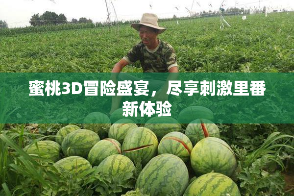 蜜桃3D冒险盛宴，尽享刺激里番新体验