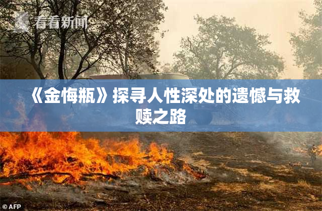 《金悔瓶》探寻人性深处的遗憾与救赎之路