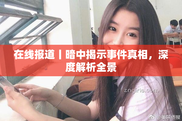 在线报道丨暗中揭示事件真相，深度解析全景