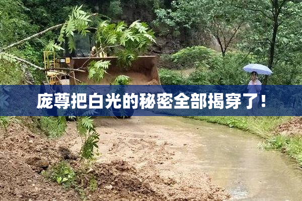 庞尊把白光的秘密全部揭穿了！