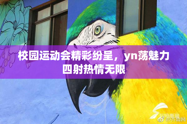 校园运动会精彩纷呈，yn荡魅力四射热情无限