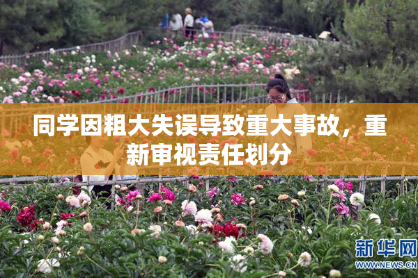 同学因粗大失误导致重大事故，重新审视责任划分