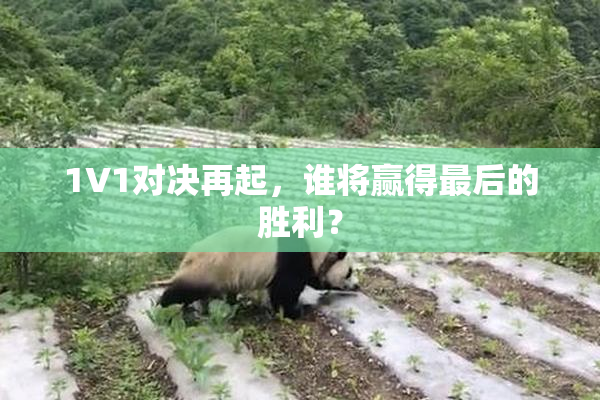 1V1对决再起，谁将赢得最后的胜利？