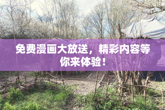免费漫画大放送，精彩内容等你来体验！