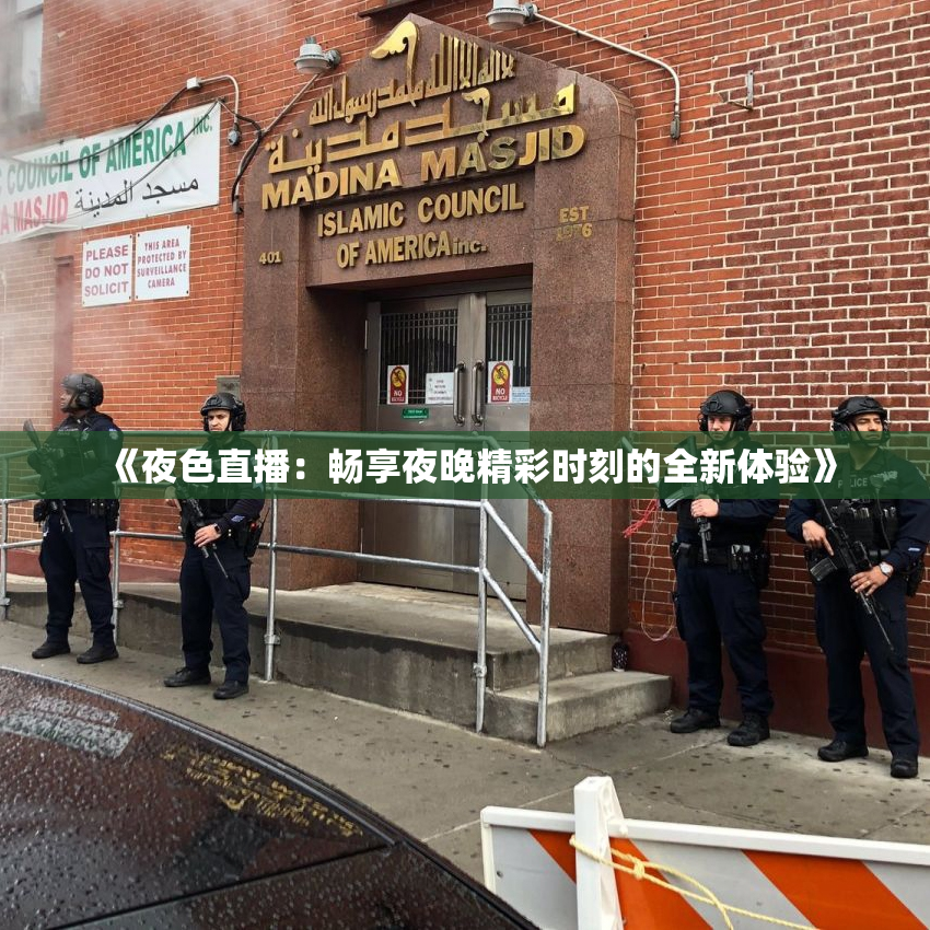 《夜色直播：畅享夜晚精彩时刻的全新体验》