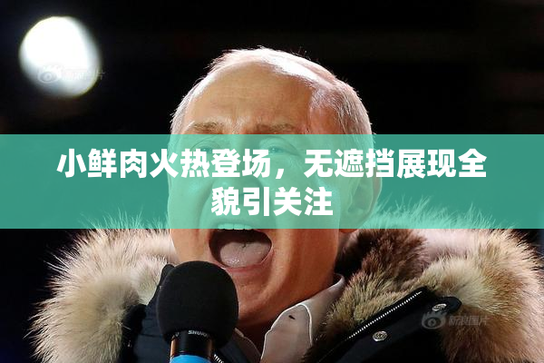 小鲜肉火热登场，无遮挡展现全貌引关注
