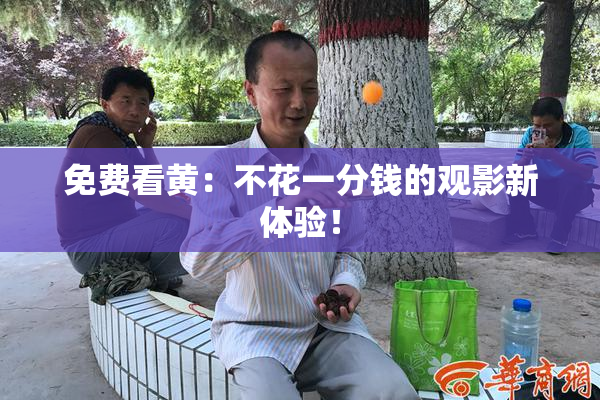 免费看黄：不花一分钱的观影新体验！