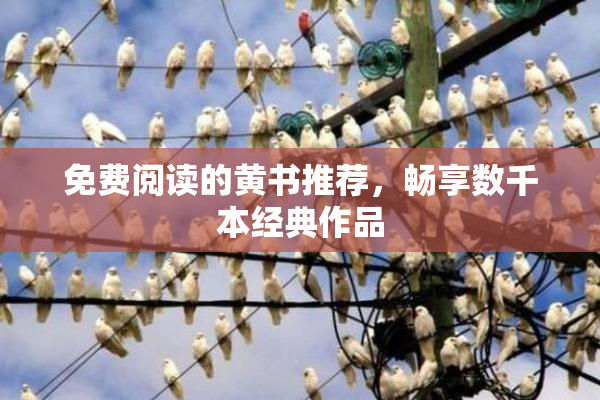 免费阅读的黄书推荐，畅享数千本经典作品