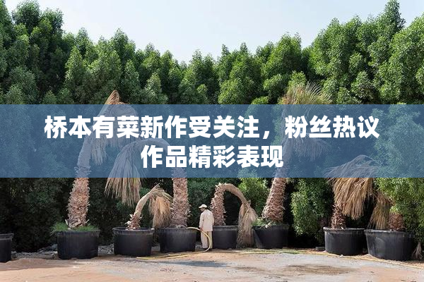 桥本有菜新作受关注，粉丝热议作品精彩表现