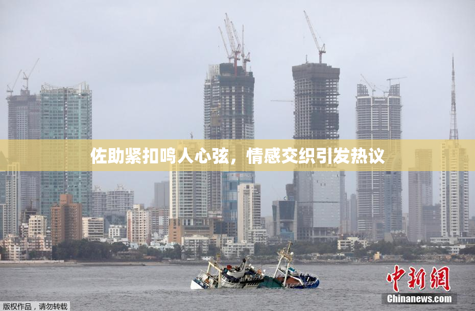 佐助紧扣鸣人心弦，情感交织引发热议