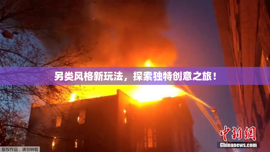 另类风格新玩法，探索独特创意之旅！