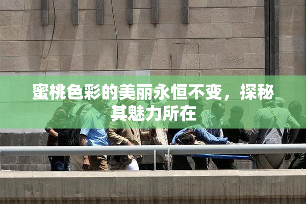 蜜桃色彩的美丽永恒不变，探秘其魅力所在
