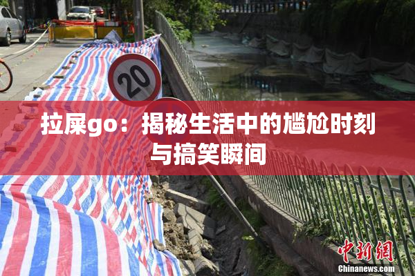 拉屎go：揭秘生活中的尴尬时刻与搞笑瞬间