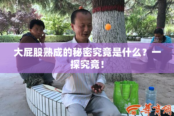 大屁股熟成的秘密究竟是什么？一探究竟！