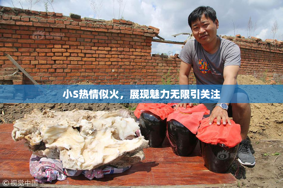 小S热情似火，展现魅力无限引关注