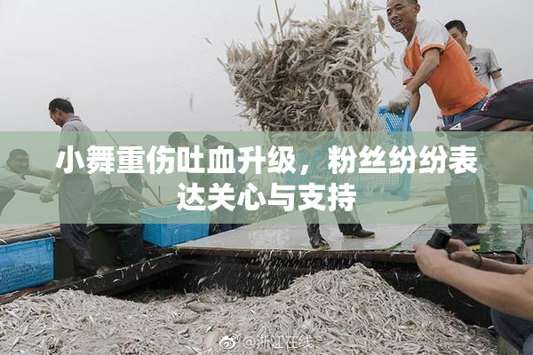 小舞重伤吐血升级，粉丝纷纷表达关心与支持