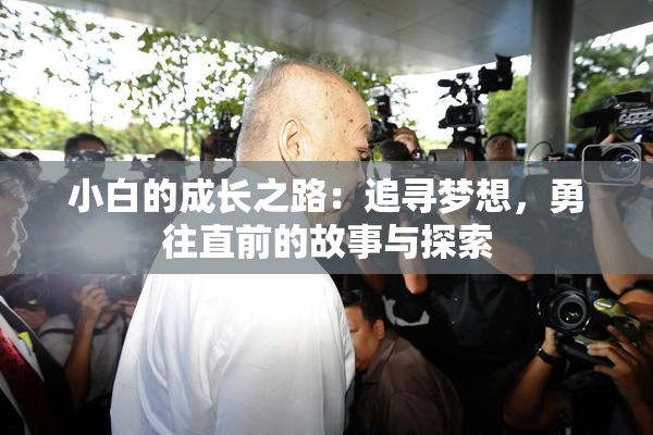 小白的成长之路：追寻梦想，勇往直前的故事与探索