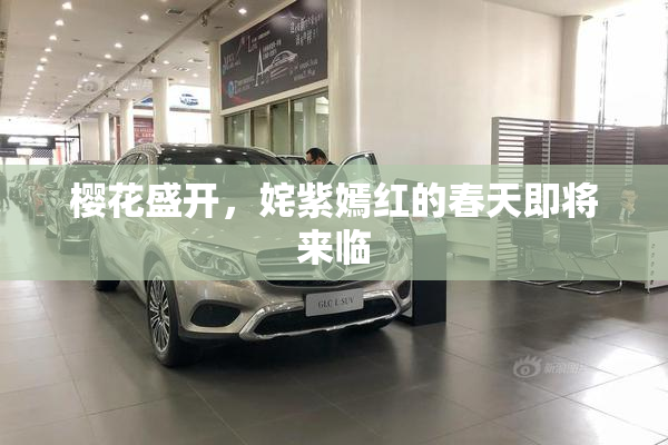 樱花盛开，姹紫嫣红的春天即将来临