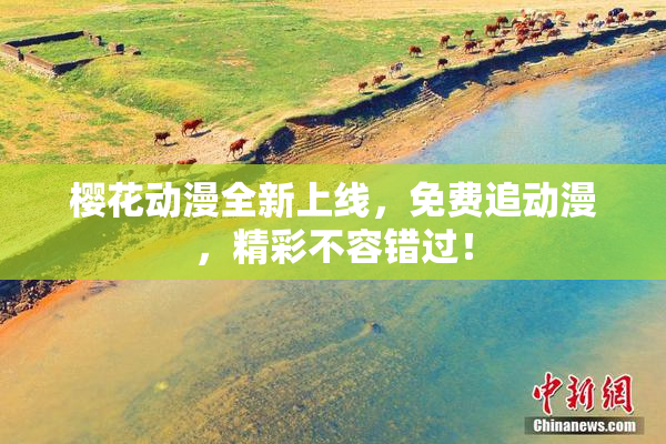 樱花动漫全新上线，免费追动漫，精彩不容错过！