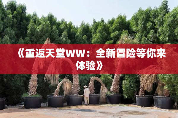 《重返天堂WW：全新冒险等你来体验》