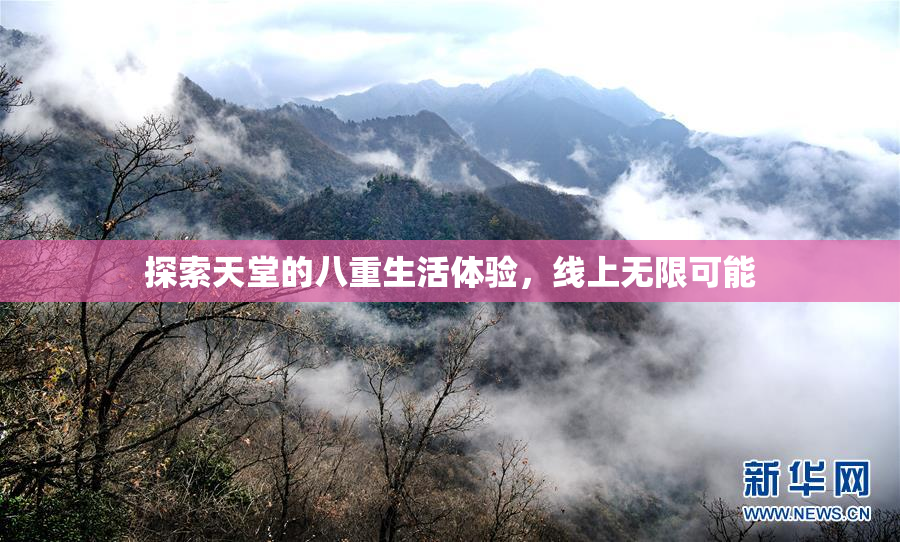 探索天堂的八重生活体验，线上无限可能