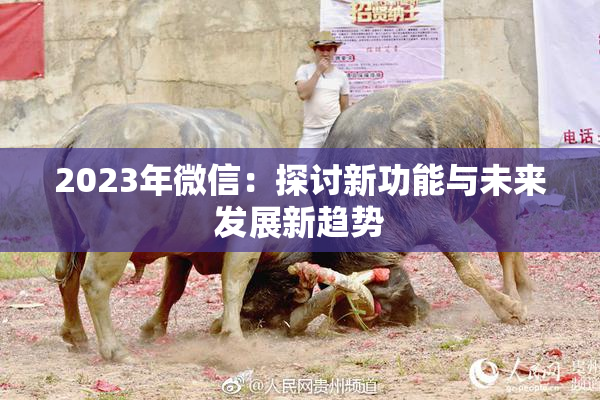 2023年微信：探讨新功能与未来发展新趋势