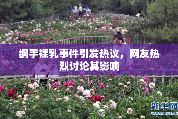 纲手裸乳事件引发热议，网友热烈讨论其影响