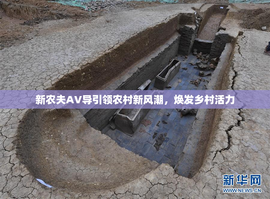 新农夫AV导引领农村新风潮，焕发乡村活力