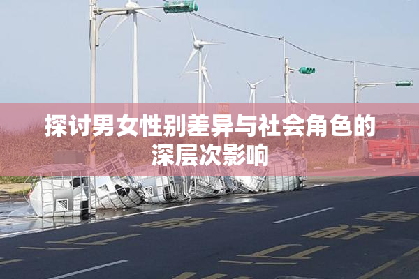 探讨男女性别差异与社会角色的深层次影响