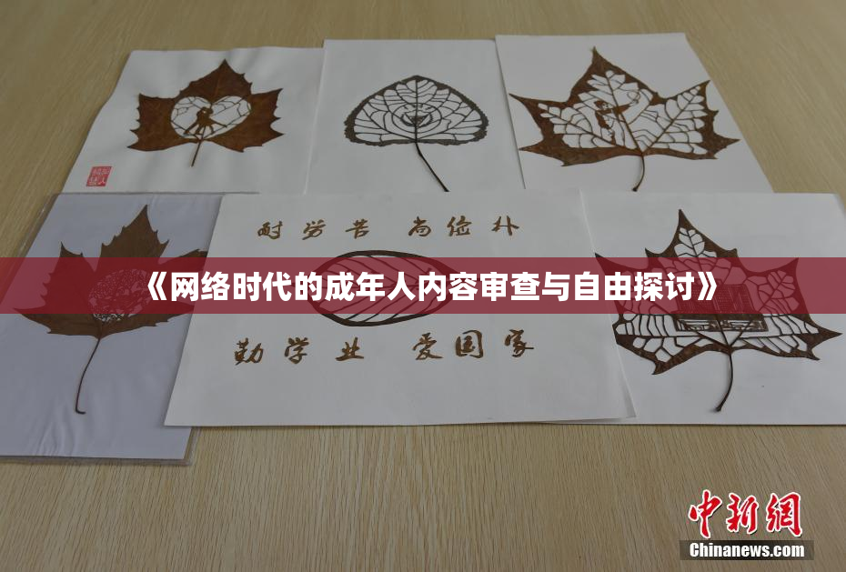 《网络时代的成年人内容审查与自由探讨》