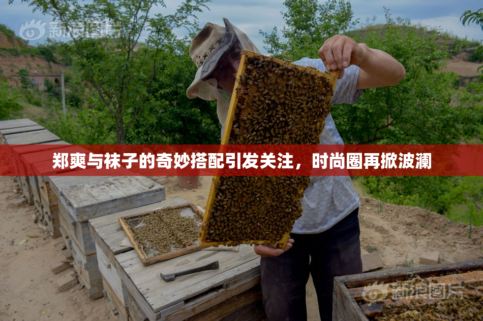 郑爽与袜子的奇妙搭配引发关注，时尚圈再掀波澜