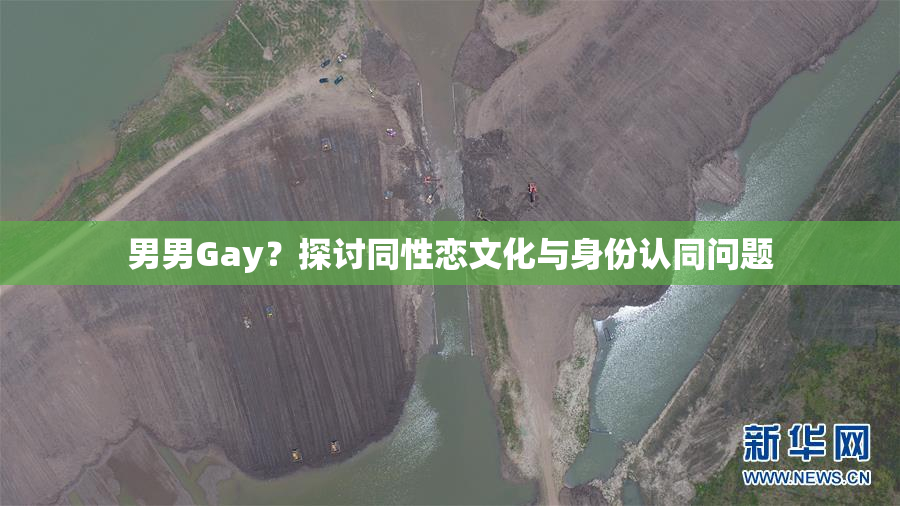 男男Gay？探讨同性恋文化与身份认同问题
