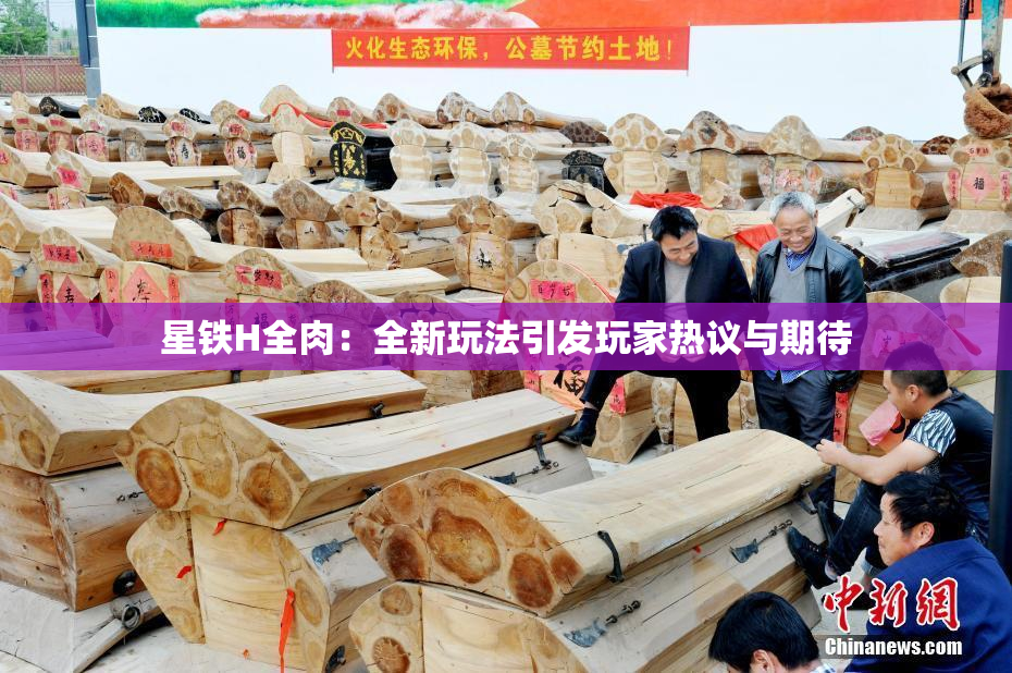 星铁H全肉：全新玩法引发玩家热议与期待