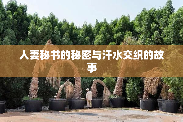 人妻秘书的秘密与汗水交织的故事