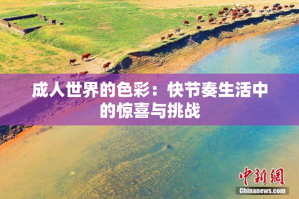 成人世界的色彩：快节奏生活中的惊喜与挑战