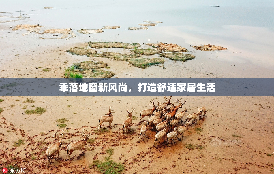 乖落地窗新风尚，打造舒适家居生活