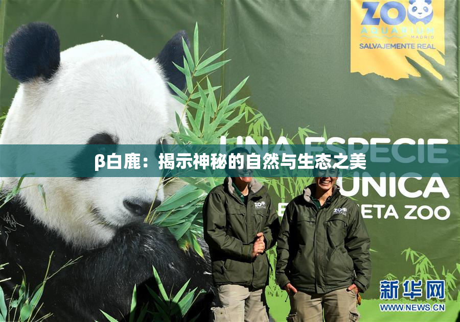 β白鹿：揭示神秘的自然与生态之美