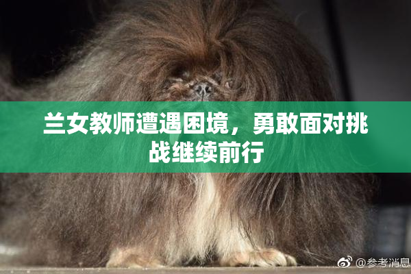 兰女教师遭遇困境，勇敢面对挑战继续前行