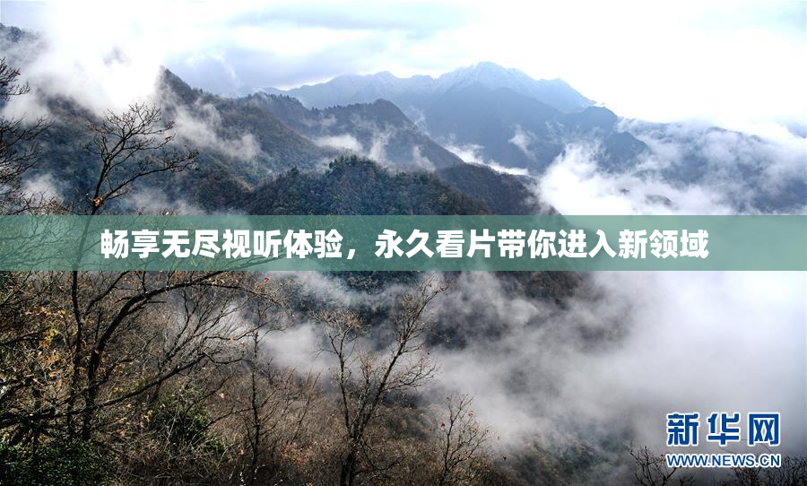 畅享无尽视听体验，永久看片带你进入新领域