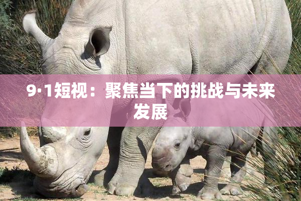 9·1短视：聚焦当下的挑战与未来发展