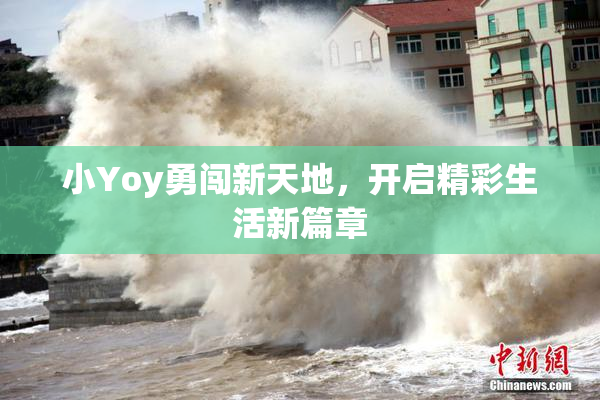 小Yoy勇闯新天地，开启精彩生活新篇章