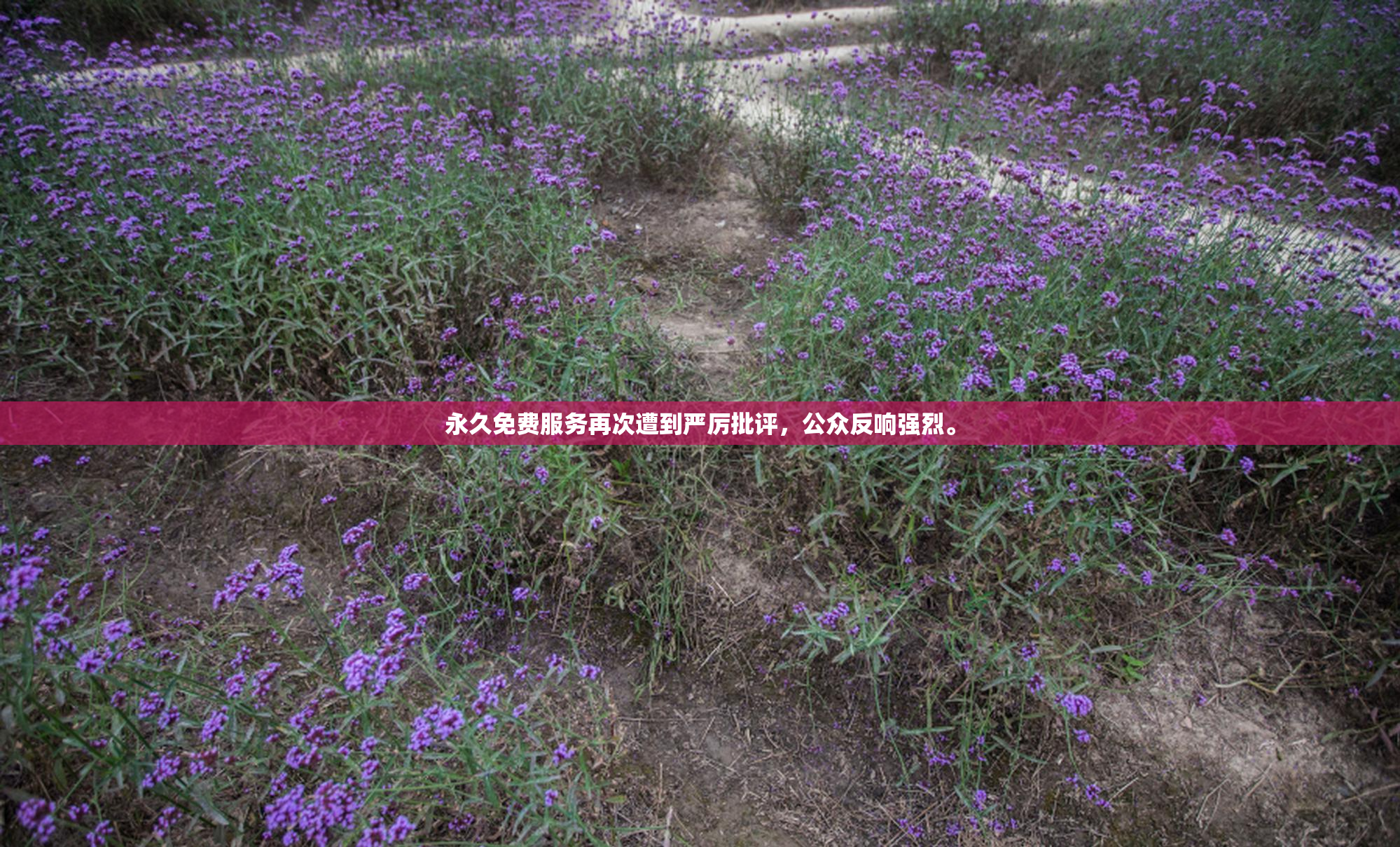 永久免费服务再次遭到严厉批评，公众反响强烈。