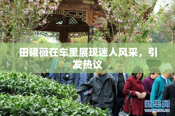 田曦薇在车里展现迷人风采，引发热议