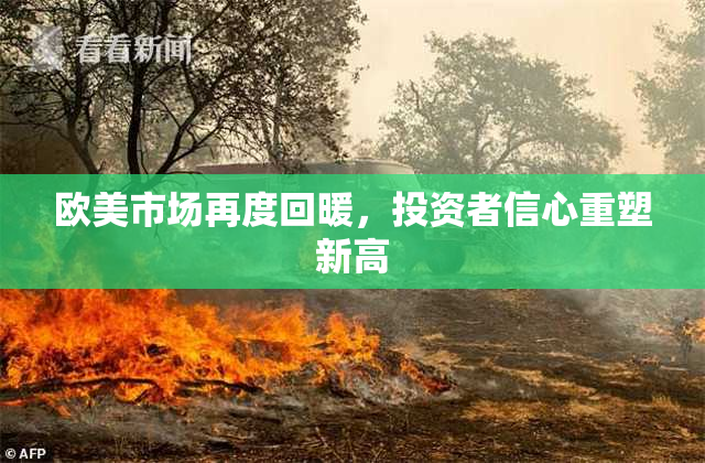 欧美市场再度回暖，投资者信心重塑新高