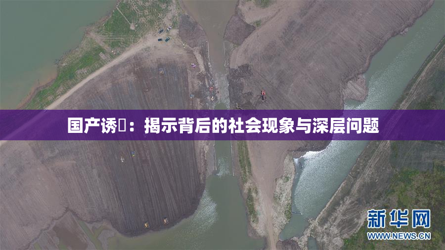 国产诱奷：揭示背后的社会现象与深层问题