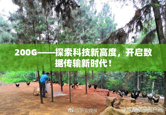200G——探索科技新高度，开启数据传输新时代！