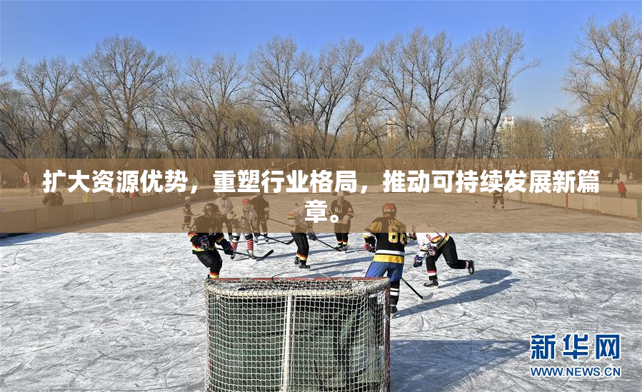 扩大资源优势，重塑行业格局，推动可持续发展新篇章。